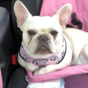 Meet your Posher, Kelli